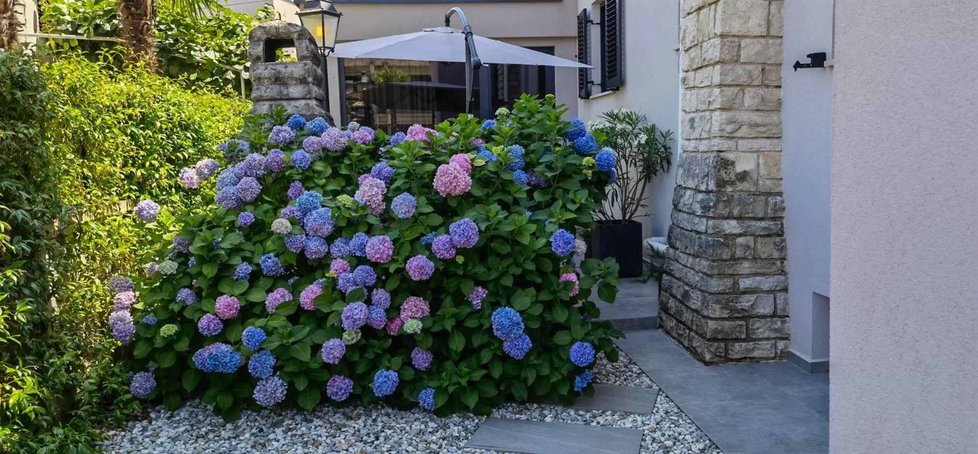 Stay In The Very Heart Of Porec - 50M To The Beach Екстер'єр фото